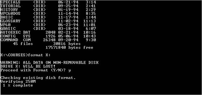 DOS screen formatting a disk